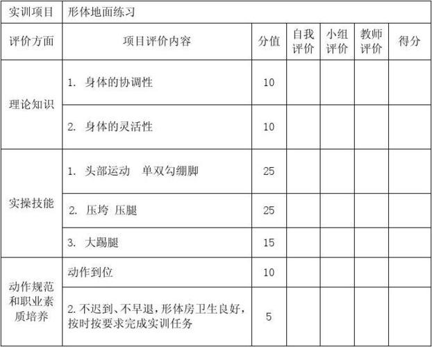 舞蹈与形体项目学习实训评价表(1)