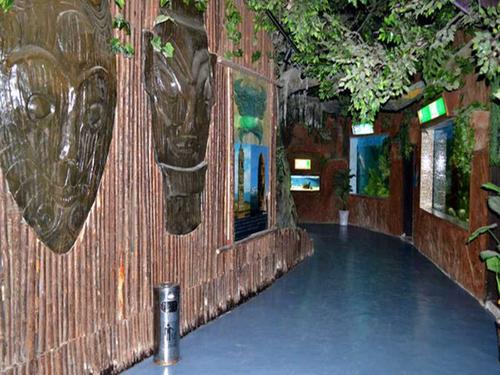 海洋馆(淮南店)