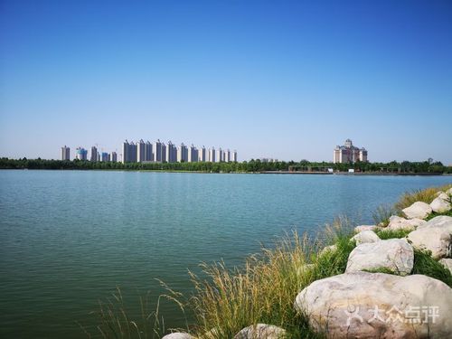 凤湖生态公园图片 - 第6张