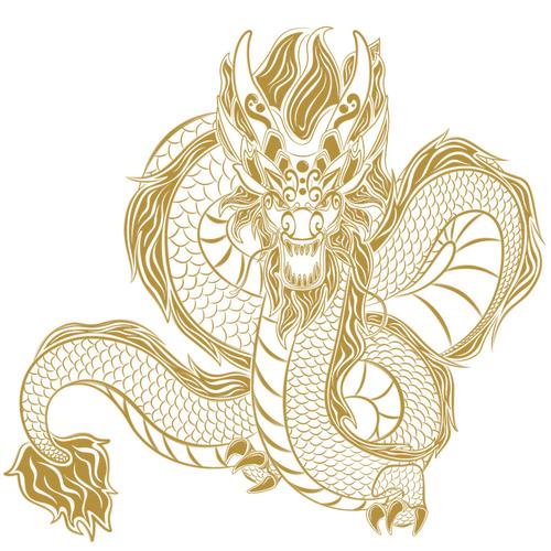 传统龙图腾手绘