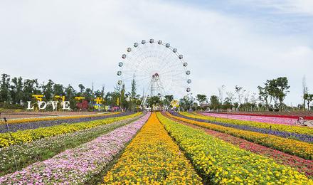 四川成都 音乐百花谷门票