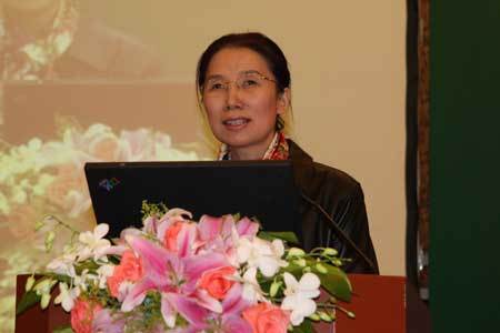 联合国权利委员会副主席杨佳