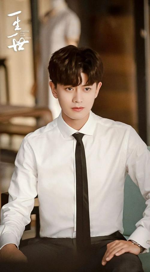 任嘉伦壁纸:你眼中有柔情万种,如脉脉春风,冰雪也消融