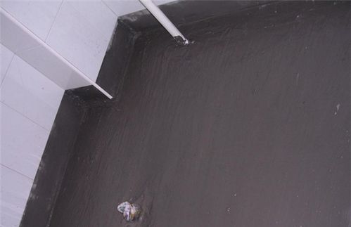 卫生间用防水涂料品牌怎么选 价格怎么样