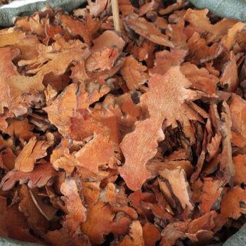 金刚头 金刚藤500克 菝葜 拔契 金刚刺 泡酒料 中药材