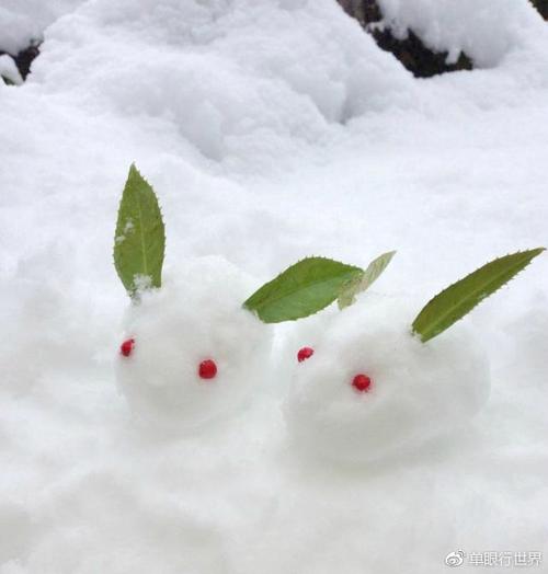 萌萌哒雪兔子,这设计拍摄也真是萌翻了~ 676767