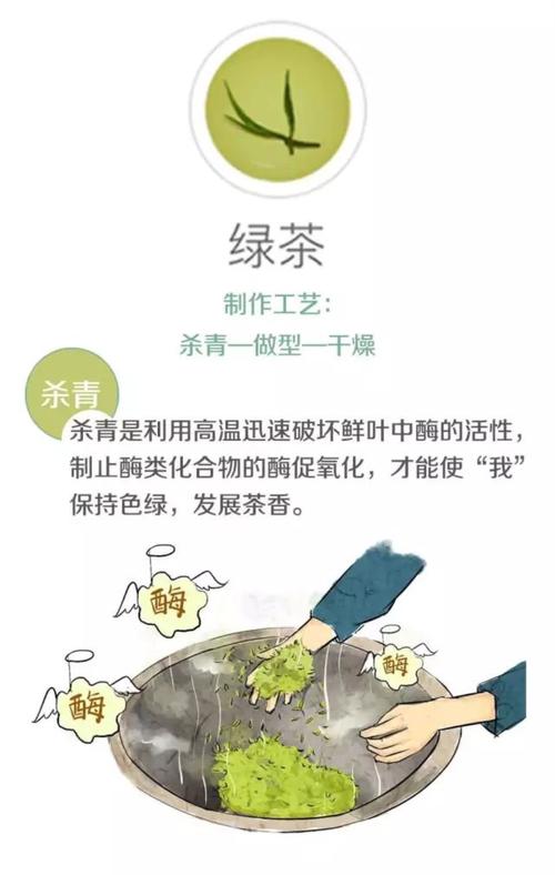 茶叶扫盲篇:六大茶类制作工艺简介(图示)