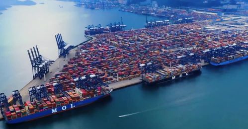 深圳盐田港航拍巨轮邮轮港口物流码头经济_1920x1000_高清视频素材