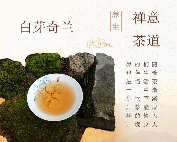 白芽奇兰茶 中火炭焙奇兰茶叶 平和碳焙白牙奇兰 新茶500克批发价