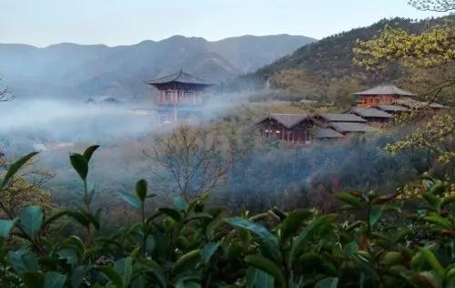 顾渚山一景
