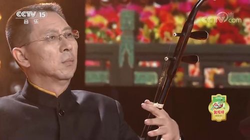 二胡名家郭民演奏一曲思归情真意切入耳入心风华国乐