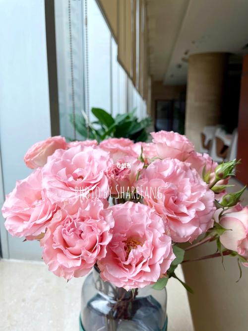玫瑰 多头 人鱼公主_珠光_网购鲜花_家居家装_家居装饰