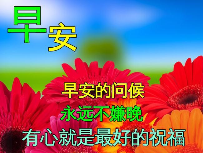 因为尽心,我们总有收获,因为尽力,我们总有进步.早安,朋友!