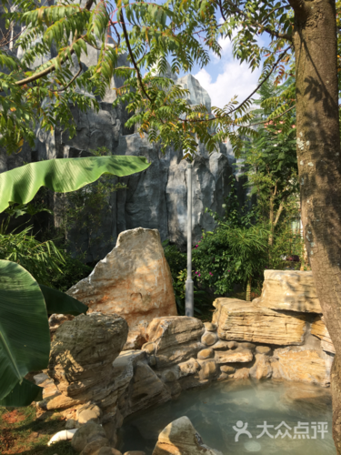 水上石林温泉旅游度假村图片 - 第39张