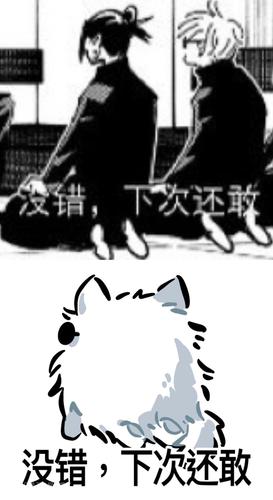 微信和qq的五条猫猫表情包