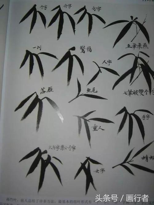 国画水墨画竹子的各种入门技法画法步骤图文详解