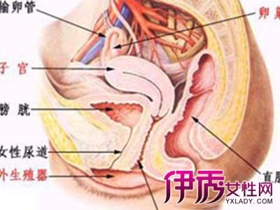 【图】女人尿道口瘙痒大揭秘 为你介绍清洗注意事项