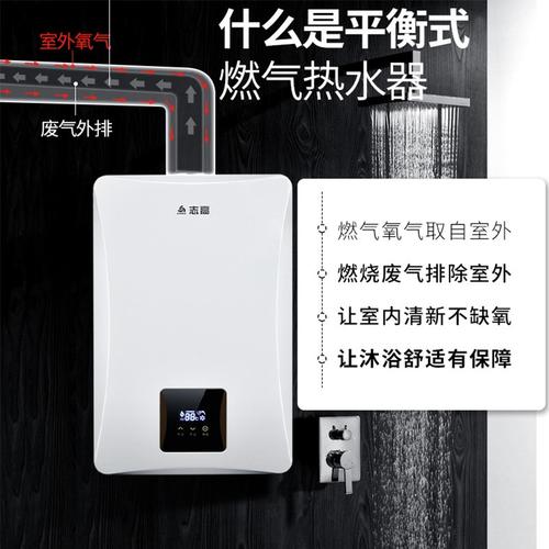 10升 罐装液化气(煤气20y) 志高(chigo) 热水器 平衡式燃气热水器
