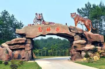 虎林园简介:黄山虎林园坐落于美丽的安徽黄山脚下,距黄山北大门仅
