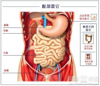 胰腺炎患者吃什么食品最好