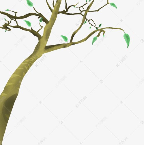 手绘枯木逢春装饰