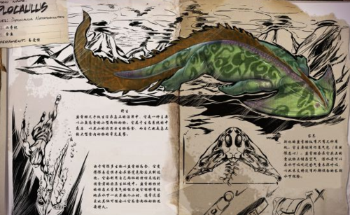 盗首螈