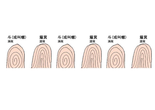 手上有几个斗的人,最受不了没钱,最能赚到钱