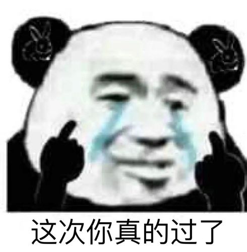 这次你真的过了(流泪熊猫头表情包)啊这!