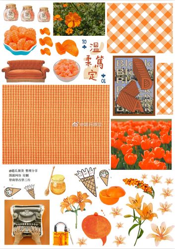 颜色主题手账素材:黑白,黄色,红色,紫色,橙色,绿色,蓝色,粉色,元素有