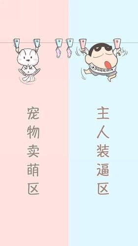 来一波有趣的逗比聊天背景,到底谁特么的蓝牙名叫"一只老母猪"!