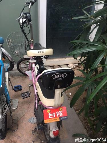 台铃电动车,有小孩座椅,能骑12公里左右,700出!抓紧时间!