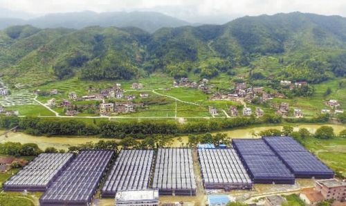 6月20日,鸟瞰桂东县普乐镇太阳园艺花卉公司基地,现代化的生态花卉