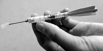 夜间用弩打狗竟是想吃狗肉 不过这回仨馋嘴男子没吃成