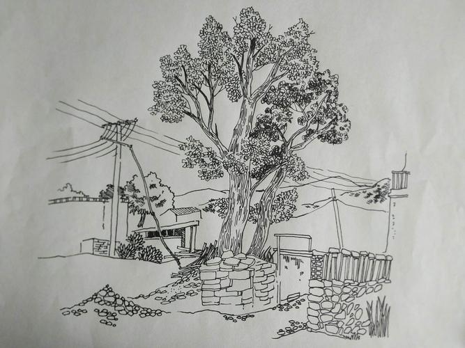 2019我画风景速写总结