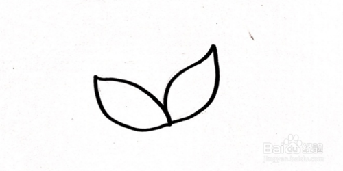 适合幼儿园中班的简笔画