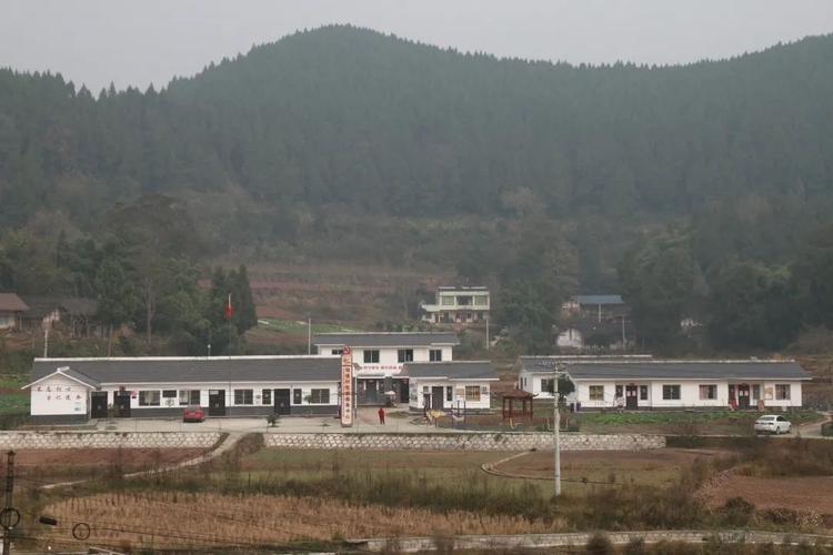 蓬溪县槐花镇哨楼村土能生金脱贫有药