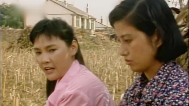 辘轳女人和井老片回放90年代喜鹊劝说枣花离婚