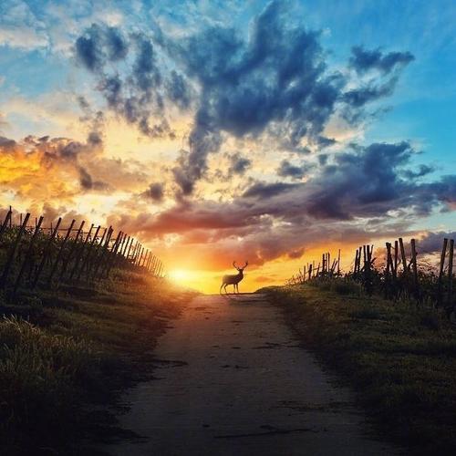 与其渴望站在阳光下 不如 在黑暗里发光