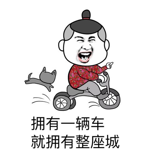 拥有一辆车就拥有整座城 - 拥有一辆车就拥有整座城_金馆长_表情头牌