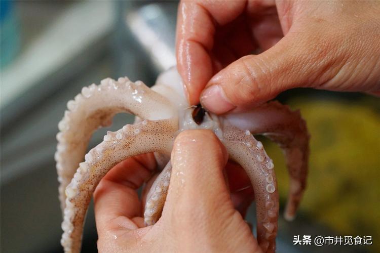 鱿鱼怎么处理鱿鱼的清洗技巧