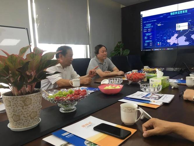 国家应急管理部执法总局局长马锐一行莅临欣华天泰指导工作