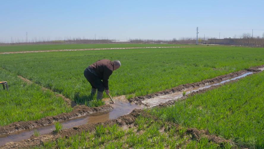 【原创】4k·农民浇地_3840x2160_高清视频素材下载