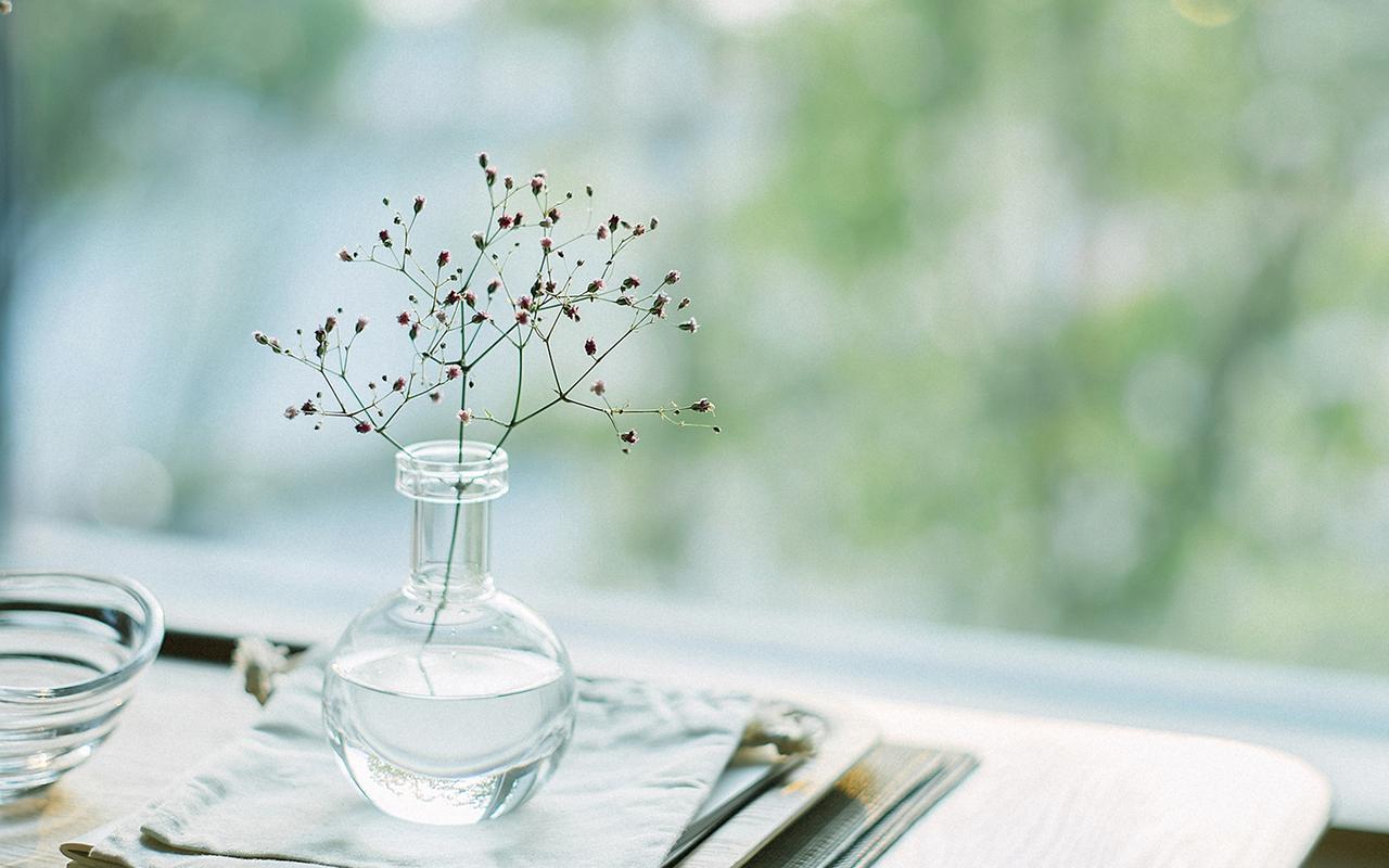 室内小清新唯美静物图片桌面壁纸