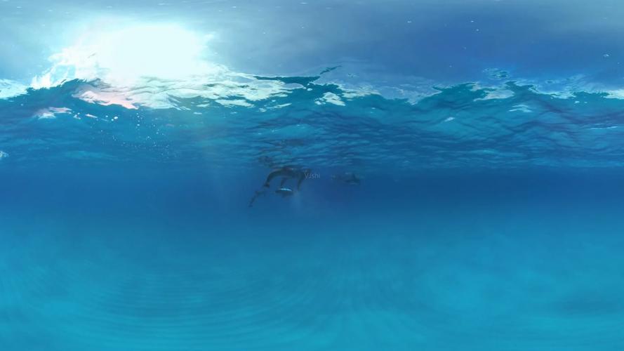 vr体验海洋大海深海