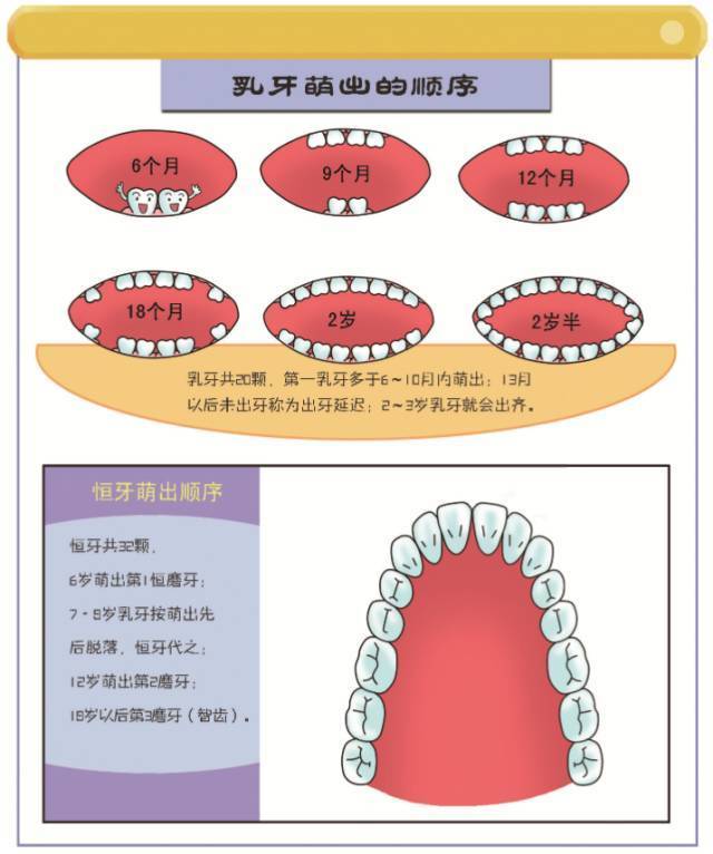 别让牙齿拉低宝宝未来颜值,0-5岁宝宝口腔护理好物分享
