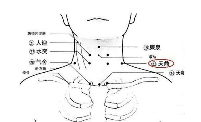 甲状腺结节坚持3大穴位按摩可以缓解调理