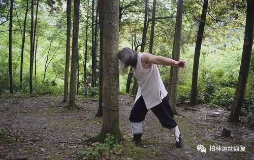 撞树治疗腰椎病?奇葩养生!