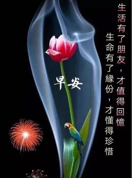 冬天早安励志正能量语录一句话,清晨最美早安祝福问候语美图