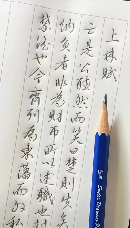 全网的《上林赋》书法竟没有几个把字全写对的|子虚赋|齐王|上林赋