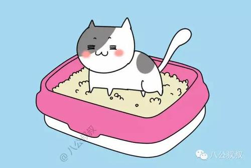 知识· 如何帮喵主子挑选合适的猫砂?